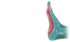 terapia riflessa al piede